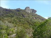 Outcrop, Wairakau stream track, Whangaroa harbour, Northland.: by thomasz, Views[218]