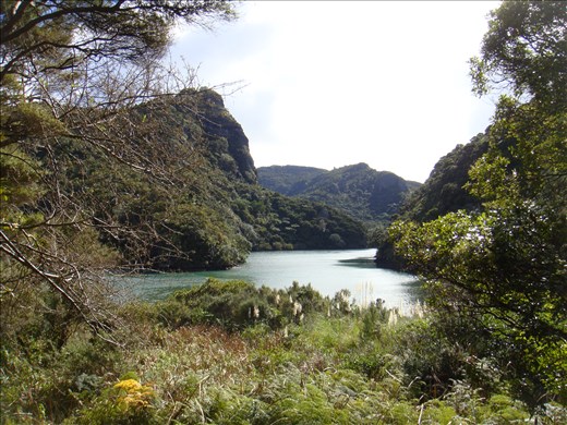 Wairakau stream, Wairakau stream track, Whangaroa harbour, Northland.