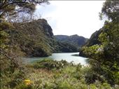 Wairakau stream, Wairakau stream track, Whangaroa harbour, Northland.: by thomasz, Views[159]