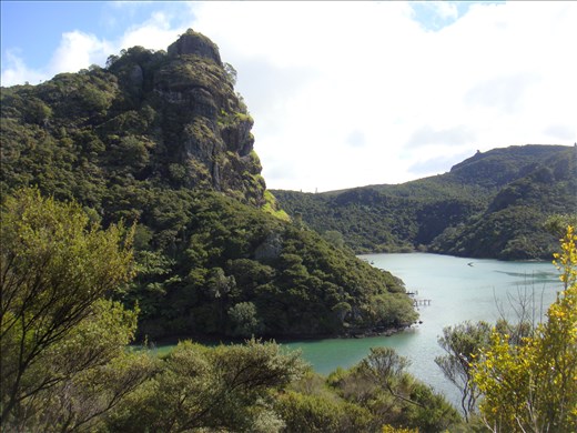 Towering cliffs, Wairakau stream track, Whangaroa harbour, Northland.