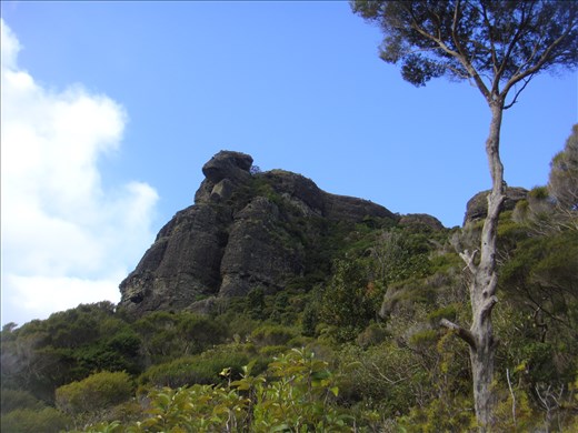Kairara rocks (Duke of Wellington's nose), Wairakau stream track, Whangaroa harbour, Northland.