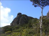 Kairara rocks (Duke of Wellington's nose), Wairakau stream track, Whangaroa harbour, Northland.: by thomasz, Views[215]