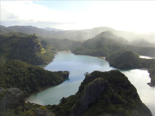 Could be straight out of the Lotr, Duke's nose, Whangaroa harbour, Northland.