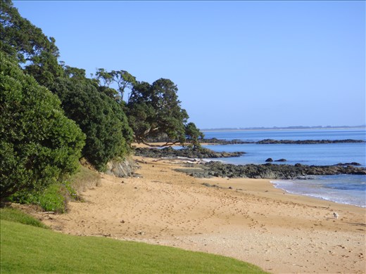 Cable bay beach, Northland.