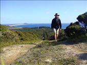 Out on a stroll, Maitai Bay, Northland.: by thomasz, Views[191]