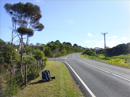 Somewhere on State Highway 1, hitchhiking to Cape Reinga, Northland.