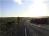 Road into Te Paki Reserve, Northland.: by thomasz, Views[176]