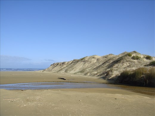 Mouth of the Te Paki stream on 90 mile beach, Te Paki Reserve, Northland.