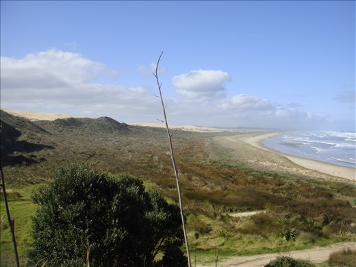 Northern end of 90 mile beach, Scott Point, Te Paki Reserve, Northland.