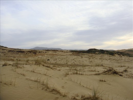 Difficult terrain to navigate, Te Paki Reserve, Northland.
