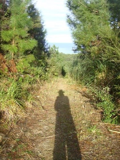 A man and his shadow, Opoutere beach, Coromandel Peninsula.