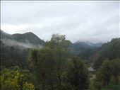 First thing I see in the morning, helpx in Tapu, Coromandel Peninsula.: by thomasz, Views[151]