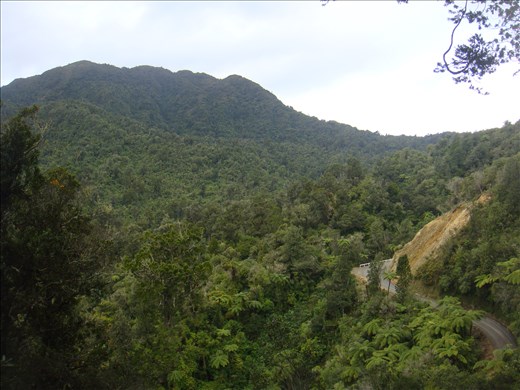 Coroglen-Tapu road, Coromandel Peninsula.