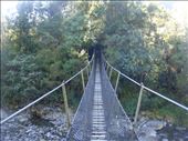 Suspension bridge, pinnacles track, Coromandel Peninsula.: by thomasz, Views[134]
