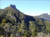 The pinnacles is where I'm heading, pinnacles track, Coromandel Peninsula.: by thomasz, Views[153]