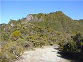 Up on the ridges, pinnacles track, Coromandel Peninsula.: by thomasz, Views[158]