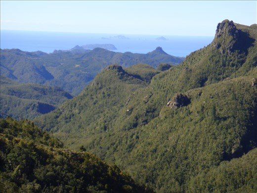View of the Coromandel east coast, pinnacles track, Coromandel Peninsula.
