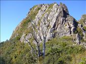 The pinnacles, pinnacles track, Coromandel Peninsula.: by thomasz, Views[132]