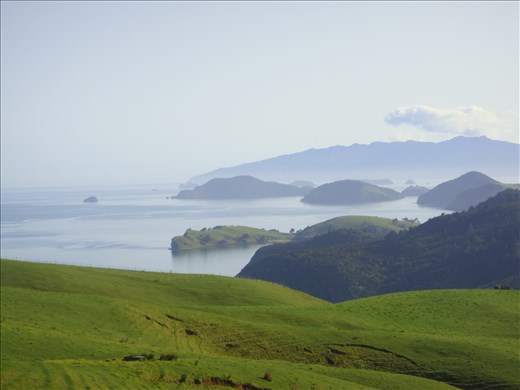 Islands in the bay in front of Coromandel Town, Coromandel Peninsula.