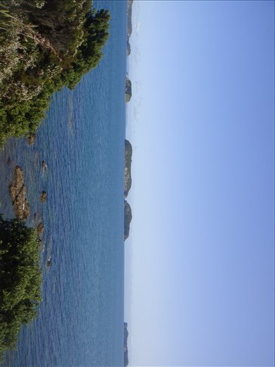 More islands, Amodeo Bay, Coromandel Peninsula.