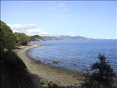 Just South of Fantail Bay, Coromandel Peninsula.: by thomasz, Views[163]