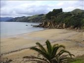 Colville Bay, Coromandel: by thomasz, Views[302]