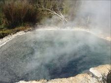 Steaming hot, Rotorua: by thomasz, Views[127]