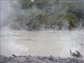 Boiling mud, mud pools, Waiotapu: by thomasz, Views[126]