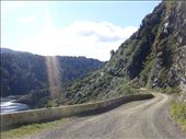 Hitching the remote road toward Waikaremoana: by thomasz, Views[115]