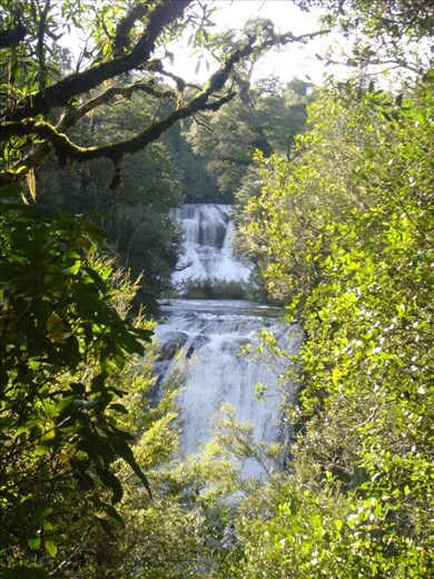 Waterfall, Te Urewera NP