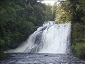 Another waterfall, Te Urewera NP: by thomasz, Views[128]