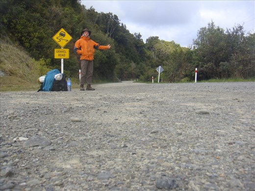 Hitching, Te Urewera NP