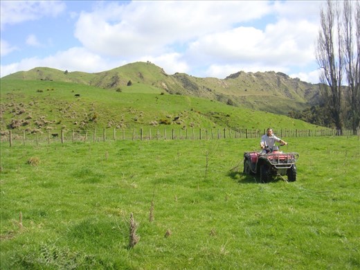Driving on the farm, Tokirima