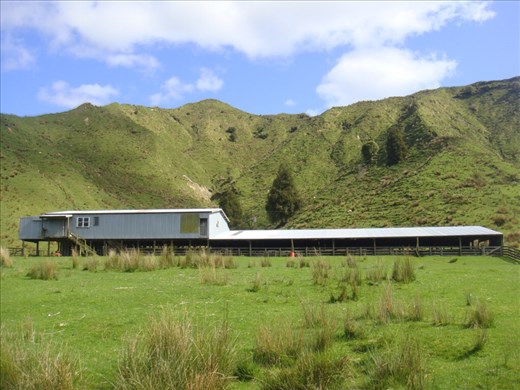 Shearing shed, Tokirima