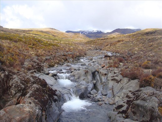 Tongariro NP
