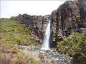 Waterfall, Tongariro NP: by thomasz, Views[90]