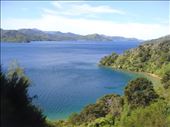 Queen Charlotte Sound: by thomasz, Views[91]