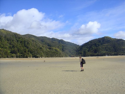 Abel Tasman Coast Track