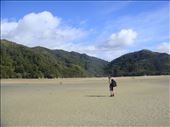 Abel Tasman Coast Track: by thomasz, Views[94]