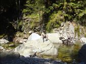 Sitting on a rock, Abel Tasman NP: by thomasz, Views[117]
