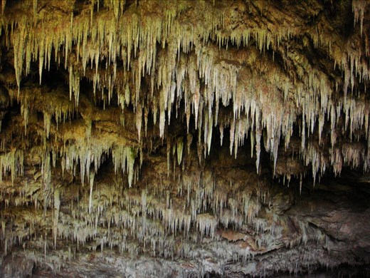 Stalactites, near Motupipi