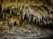 Stalactites, near Motupipi: by thomasz, Views[124]