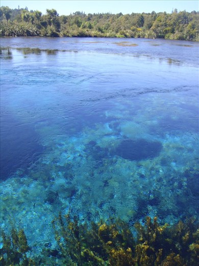 Pupu springs, world's largest