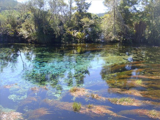 Pupu springs, world's largest