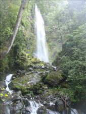 Whisky falls, Nelson lakes NP: by thomasz, Views[138]