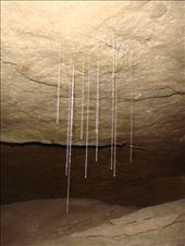 Sticky threads of a glow worm, Oparara Basin: by thomasz, Views[135]