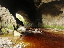 Oparara arch, Oparara Basin: by thomasz, Views[129]