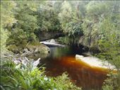 Moria arch, Oparara Basin: by thomasz, Views[145]