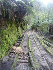 Chasm Creek mine remains: by thomasz, Views[111]