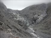 Fox glacier: by thomasz, Views[169]